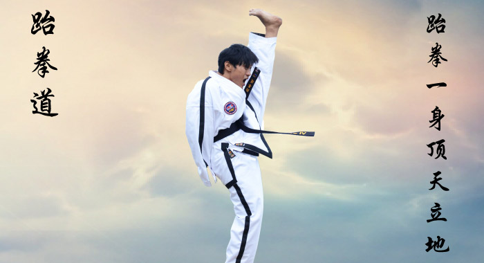 Taekwon-Do A Way of Life