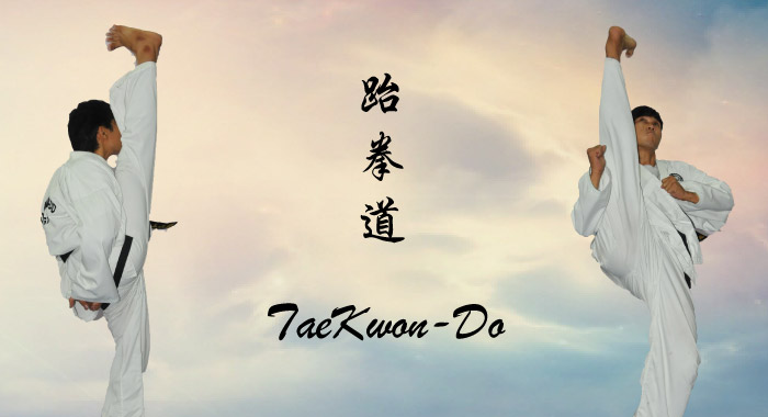 Taekwon-Do A Way of Life